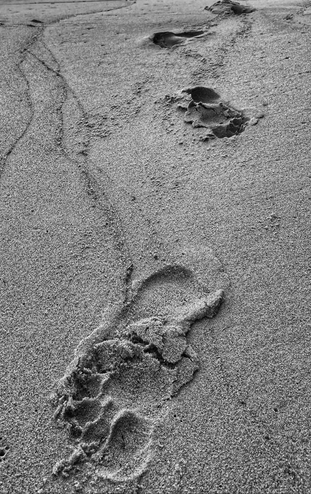 Photograph by Вадим Ершов