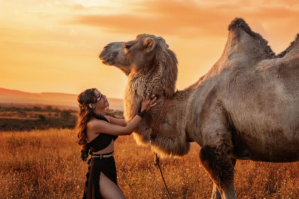 Фотография автора Nella Shageeva