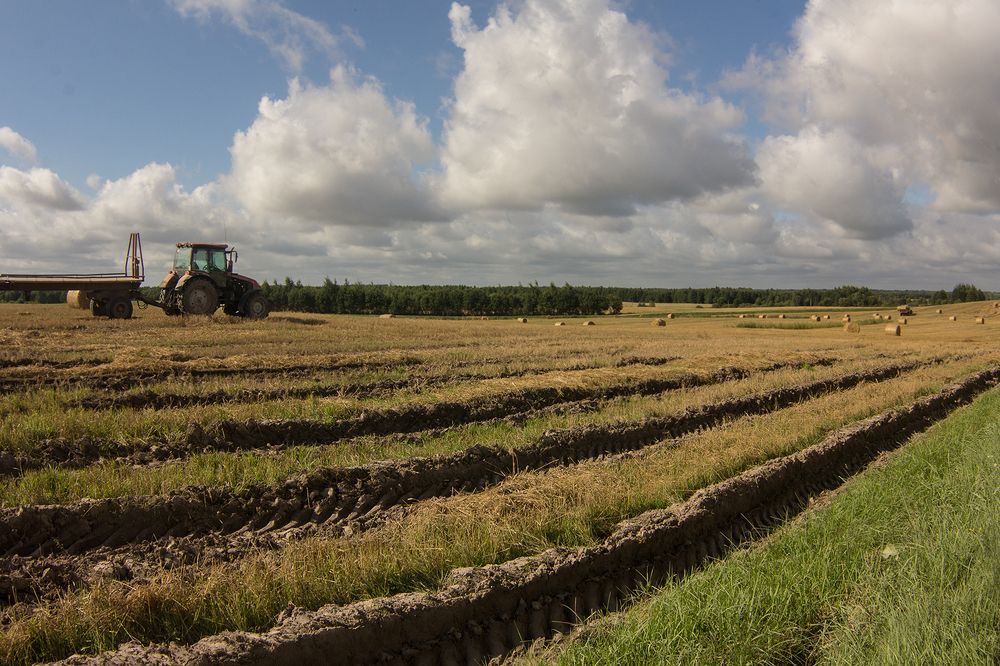 Фотография автора Борис Журавлёв