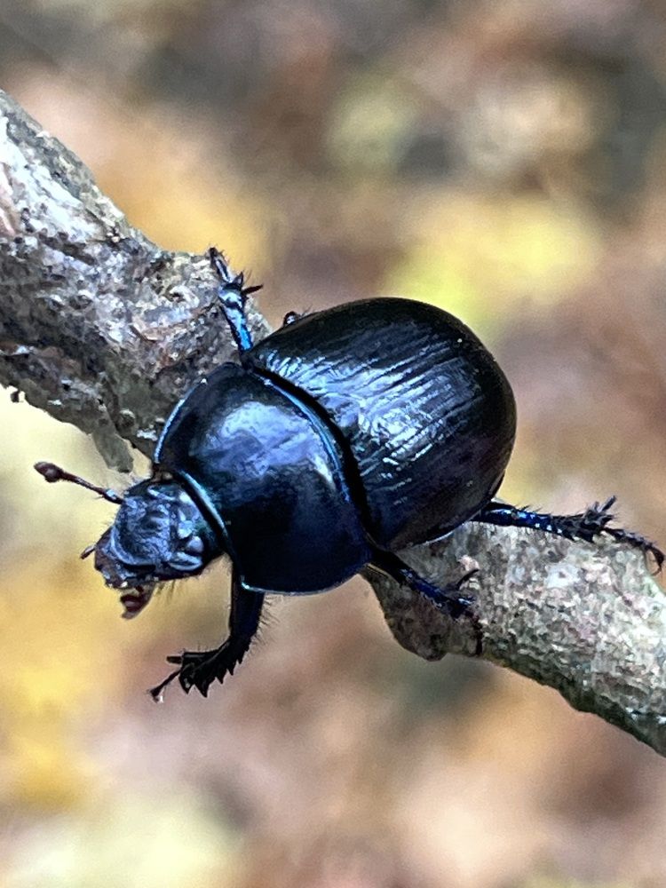 Photograph by Olga Savenko