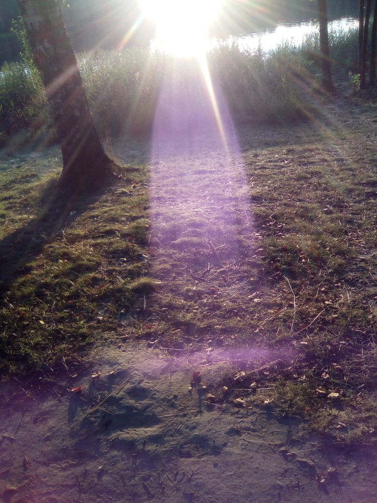 Photograph by Светлана Петрова