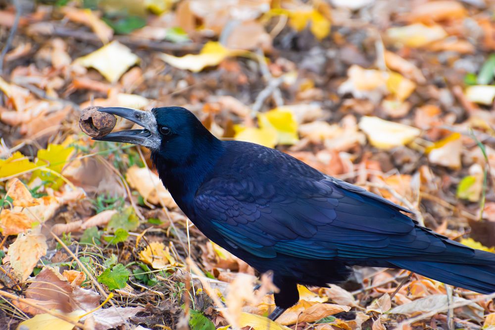 Photograph by Кристина Дегтярёва