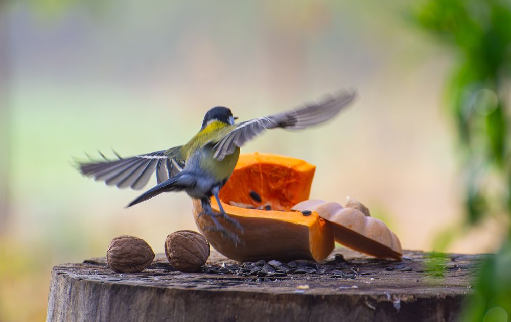 Photograph by Кристина Дегтярёва