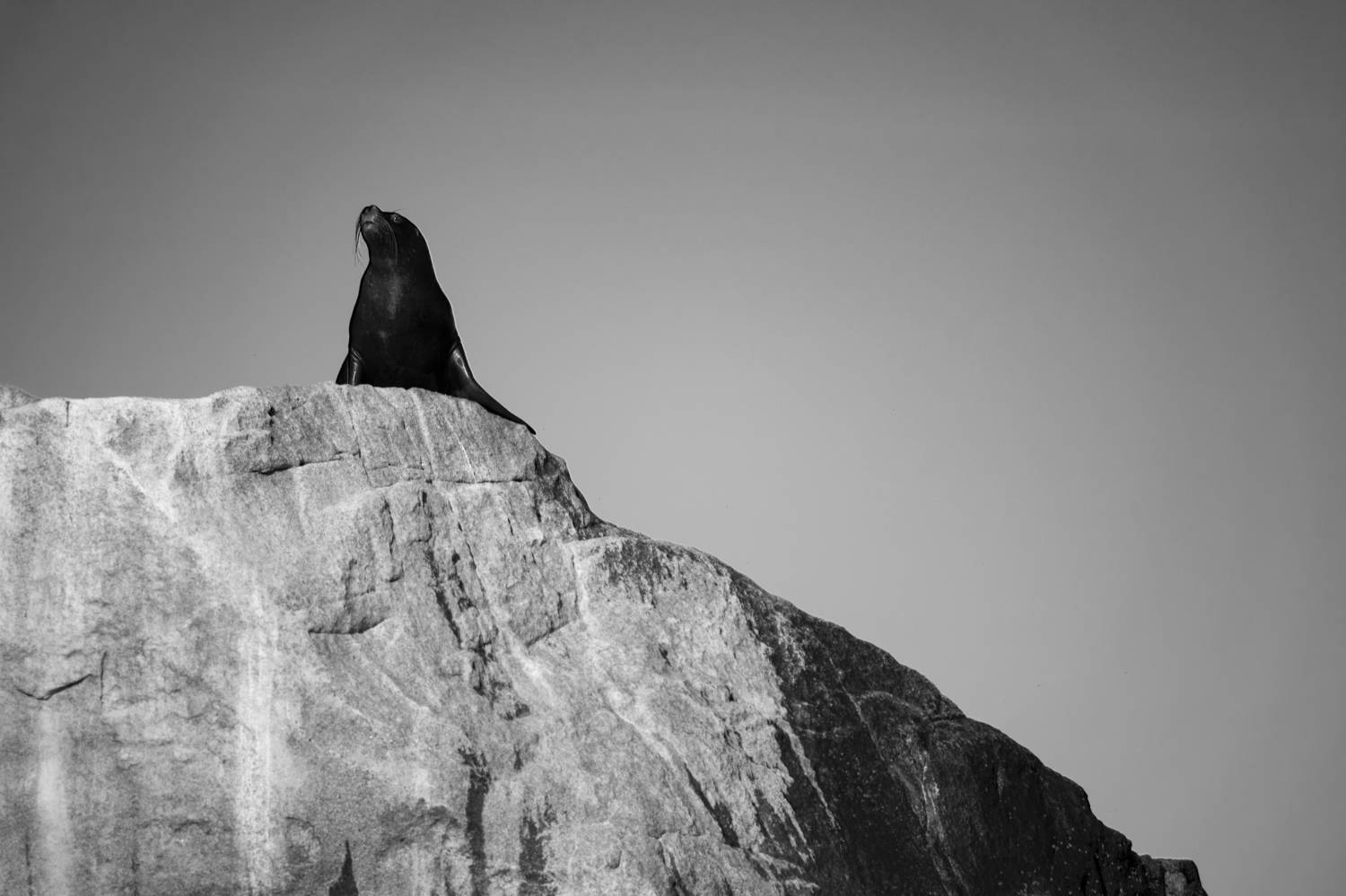 Photo #11268776