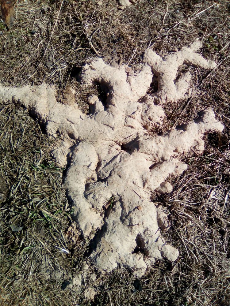 Photograph by Светлана Петрова