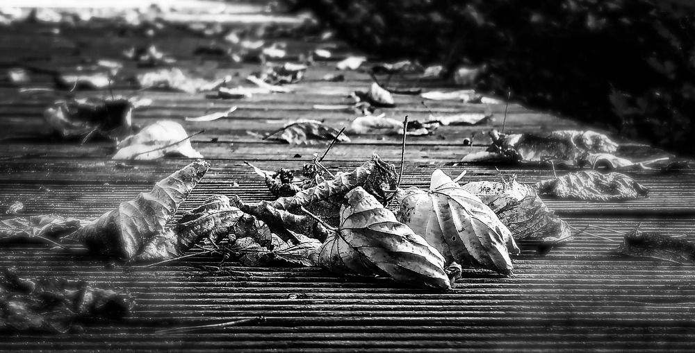 Photograph by Igors Rostikovs