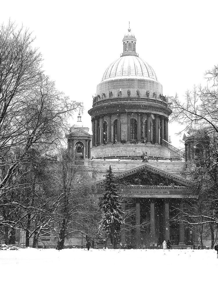 Фотография автора Елизавета Ростовцева