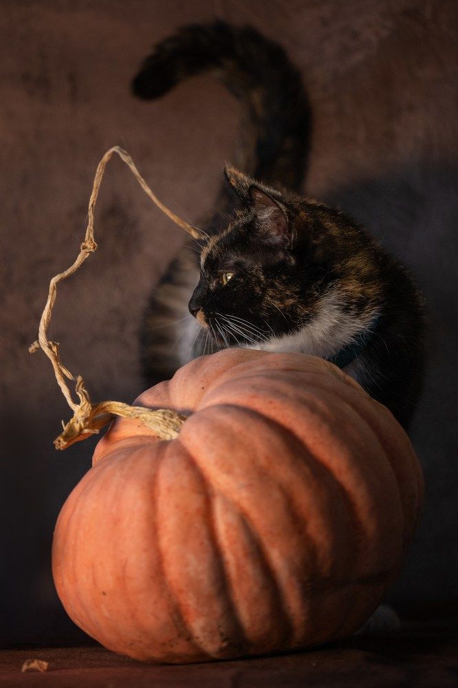 Photograph by Елена Якусева