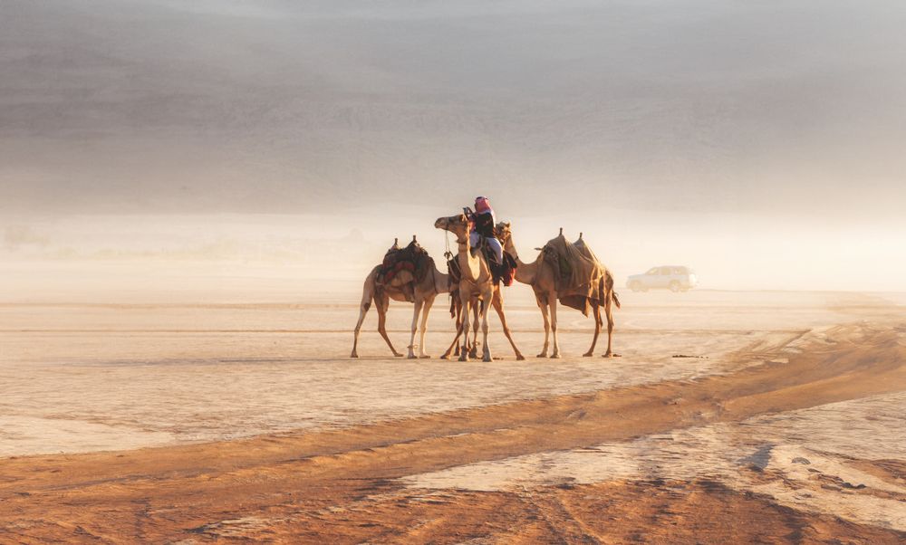 Photograph by Ali Abu Ras