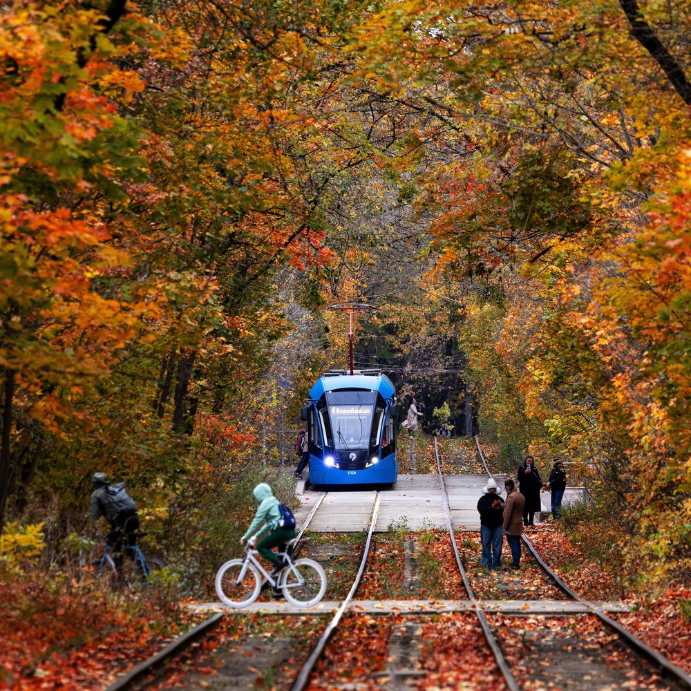 Photograph by Пономарев Илья