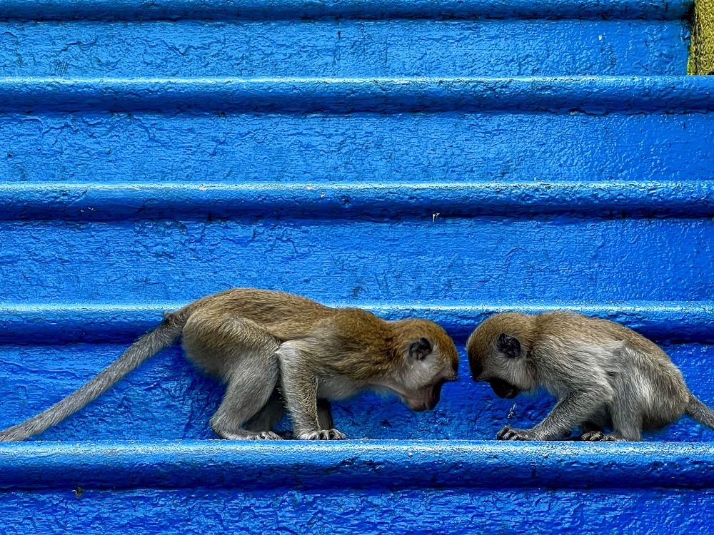 Photograph by Дулова Анастасия