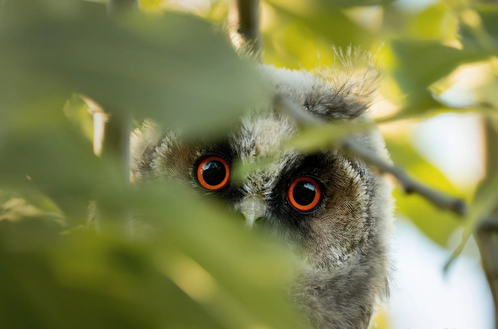 Фотография автора Владимир Коровяковский