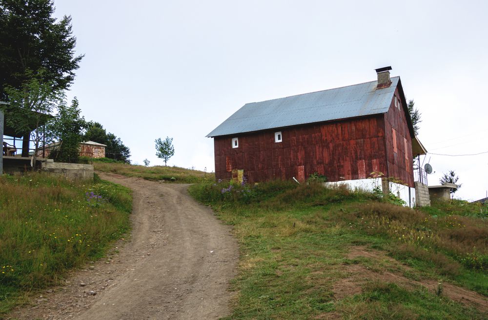 Photograph by Ali Abu Ras