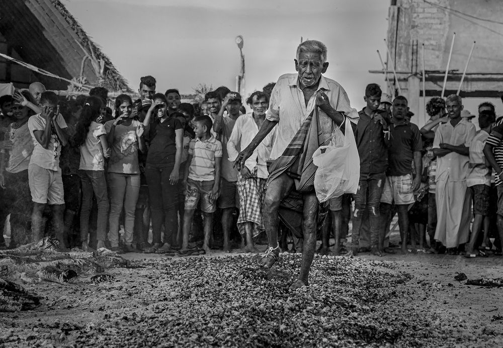 Фотография автора Laddu Sasindu Pramuditha De Silva