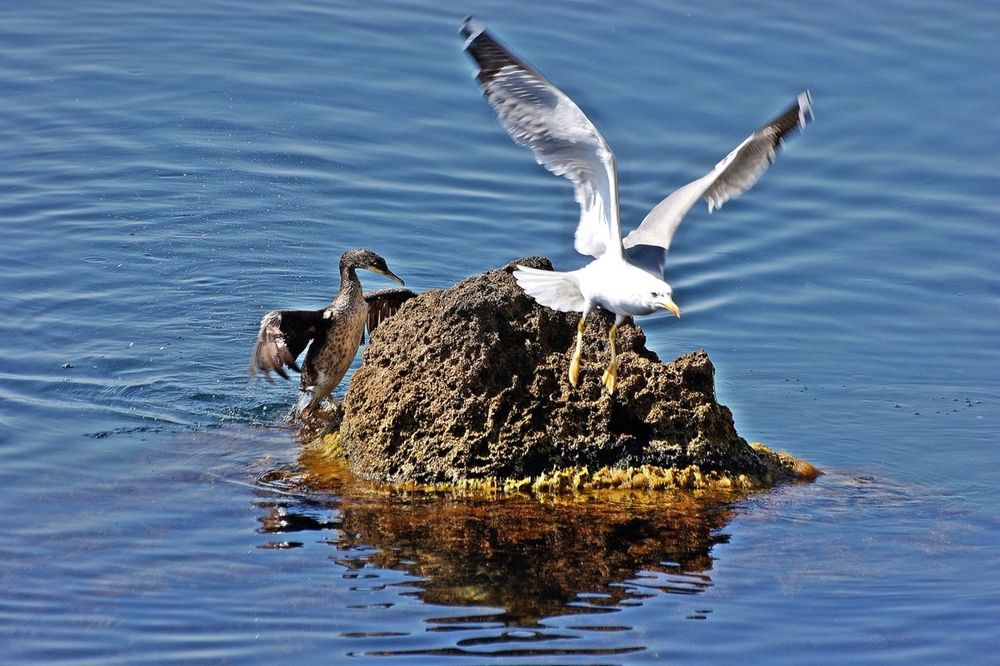 Photograph by Леонид Владимирович