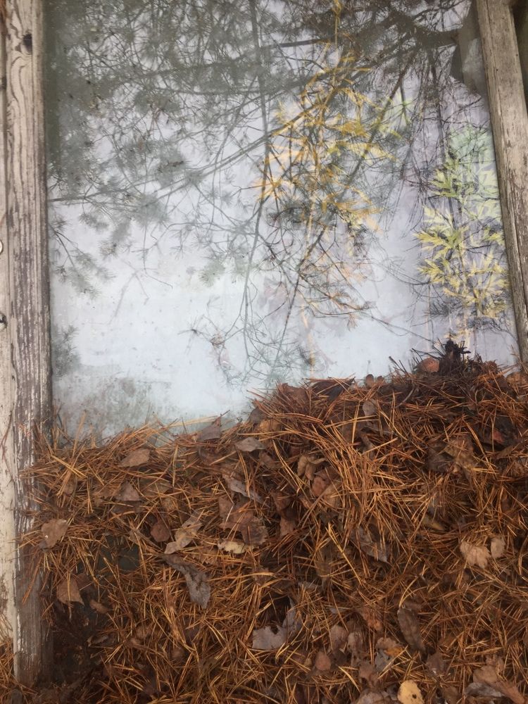 Сквозь Время: осенний пейзаж