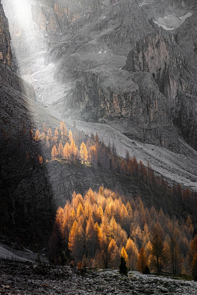 Photograph by Paolo Barbarini