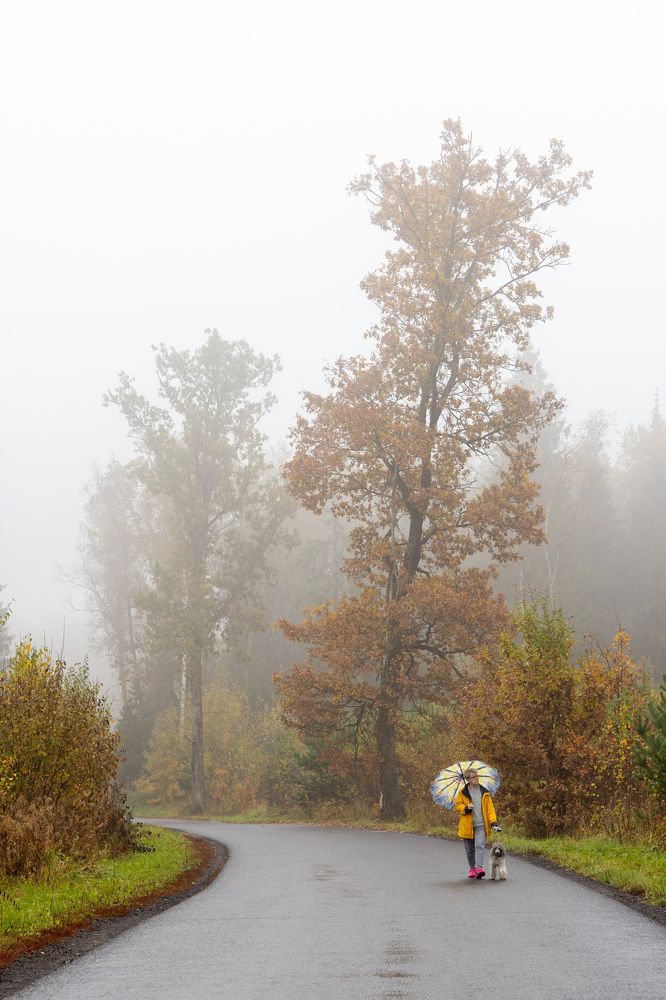 Photograph by Пономарев Илья