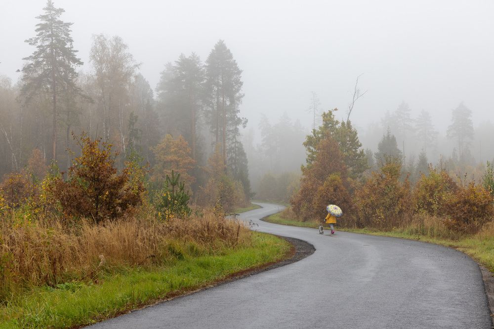 Photograph by Пономарев Илья