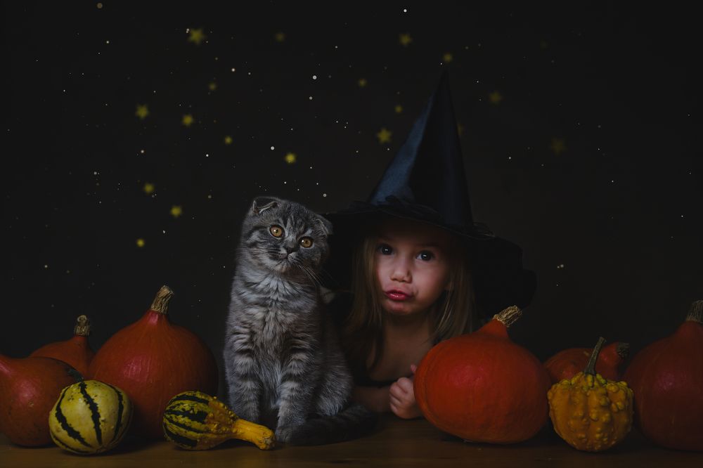 Photograph by Julia Kablan