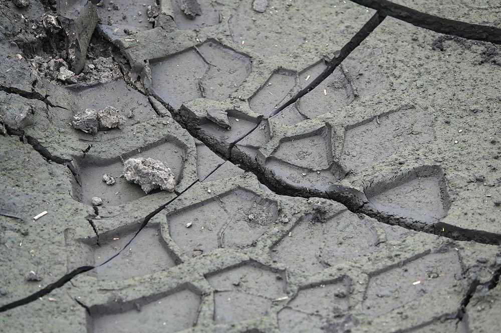 Photograph by Zakharov Matvey