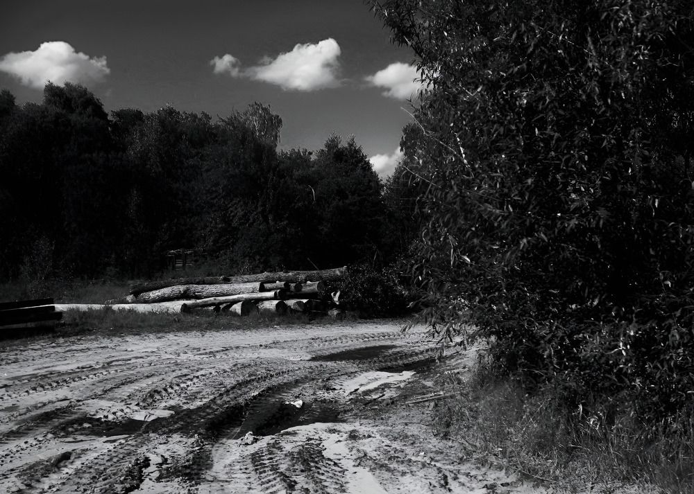 Photograph by Елена Большунова