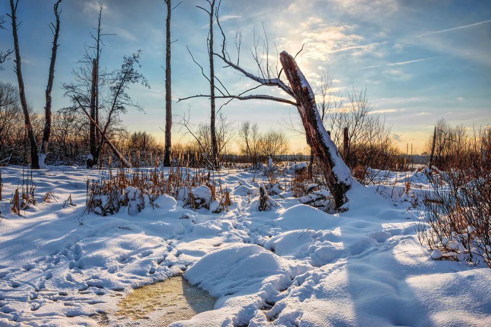 Фотография автора Валерий Лушин