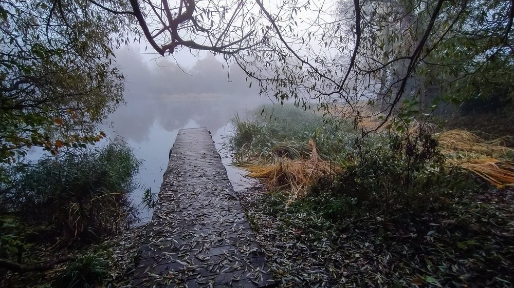 Волга. Завидово. Туманное утро.