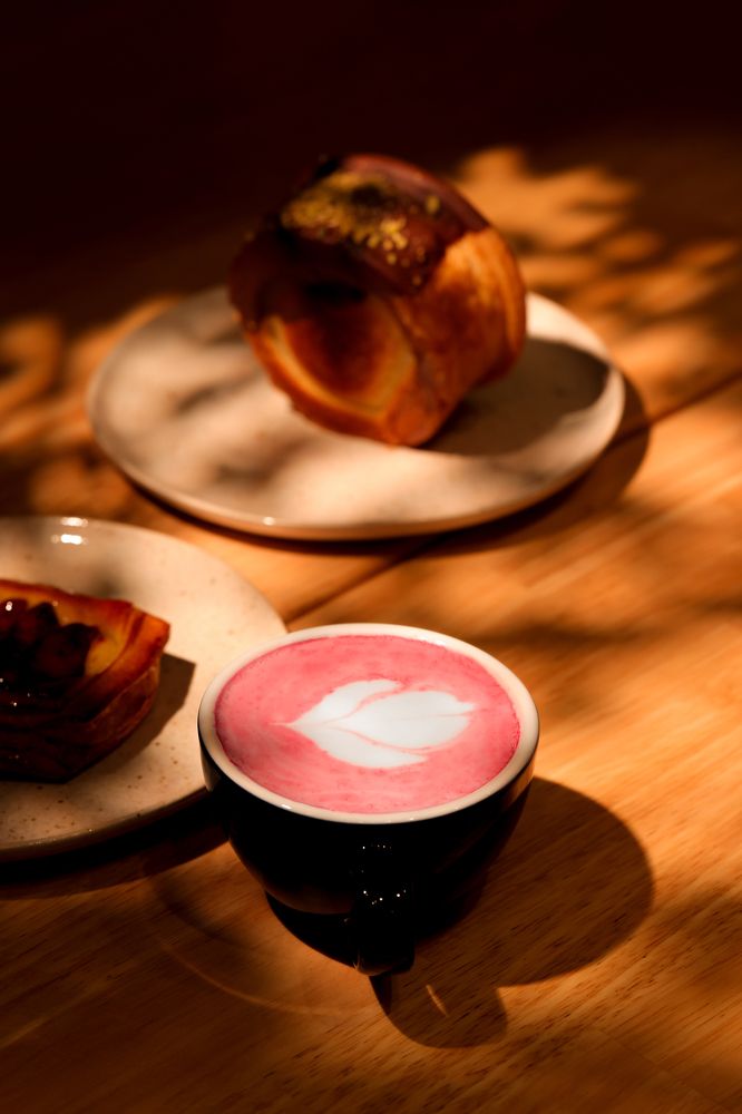 Photograph by ALi Dolati