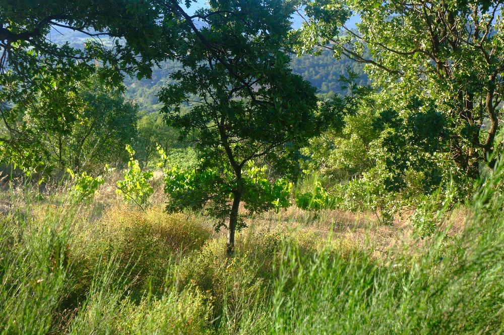 Фотография автора Yaman Koyutürk