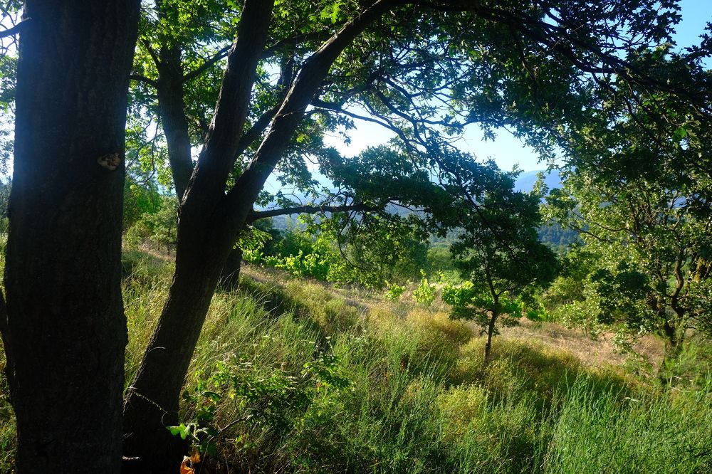 Фотография автора Yaman Koyutürk