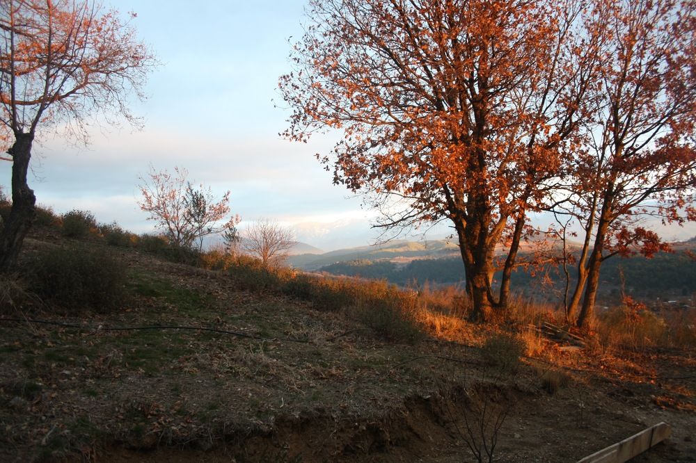 Фотография автора Yaman Koyutürk