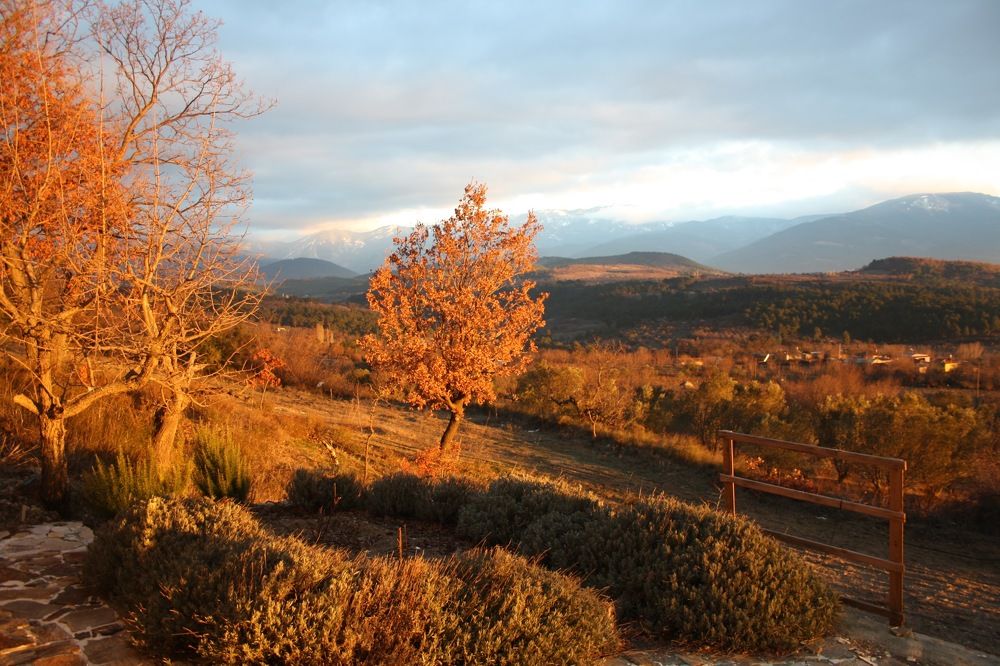 Фотография автора Yaman Koyutürk