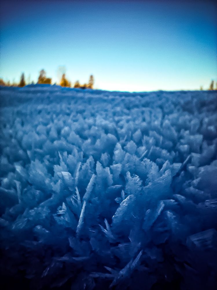 Photograph by Алексей Егоров