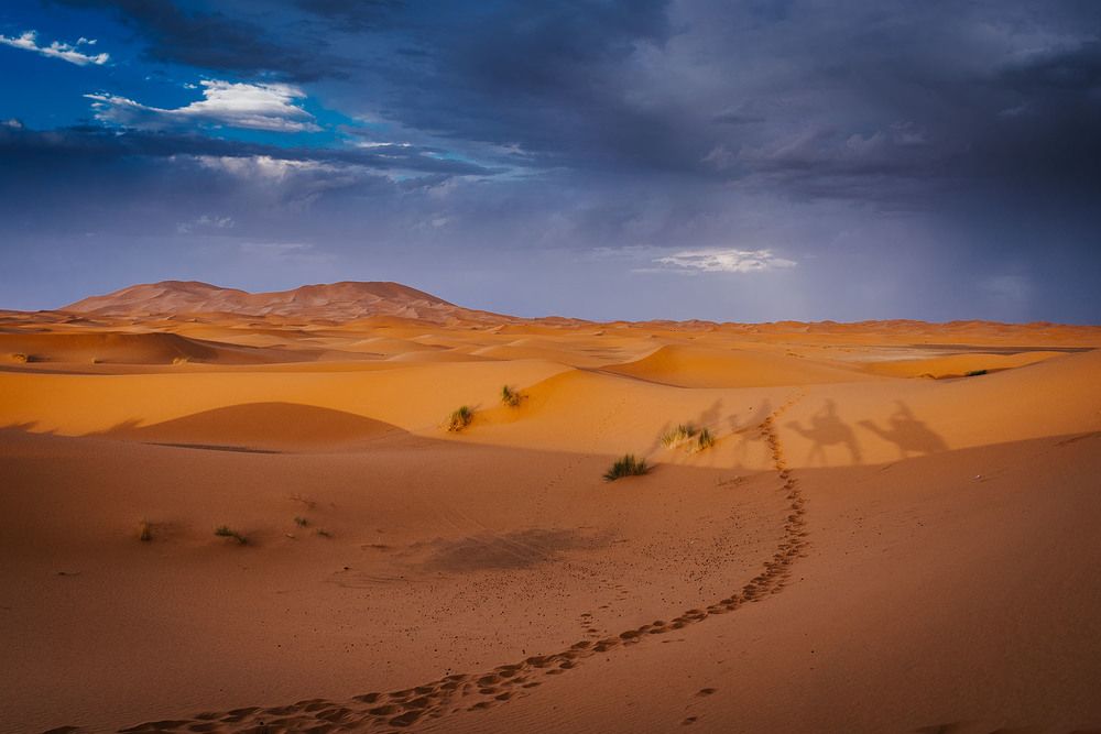 Photograph by Tomislav Safundžić