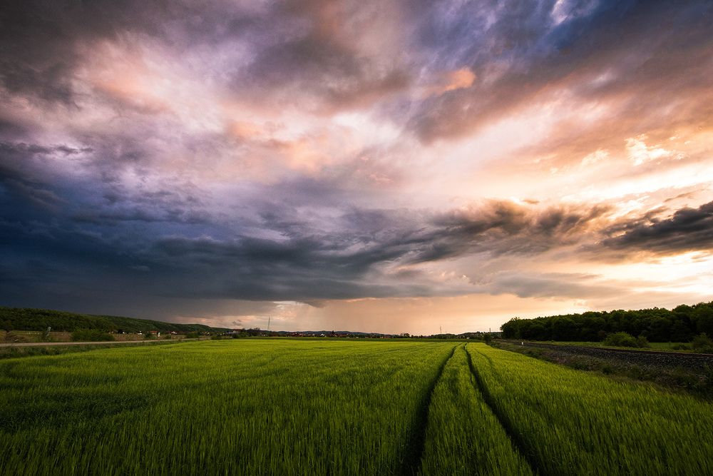 Photograph by Tomislav Safundžić