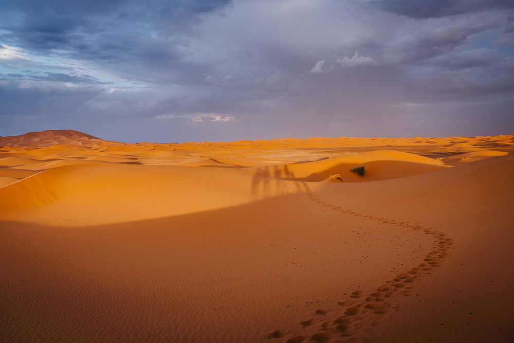 Photograph by Tomislav Safundžić