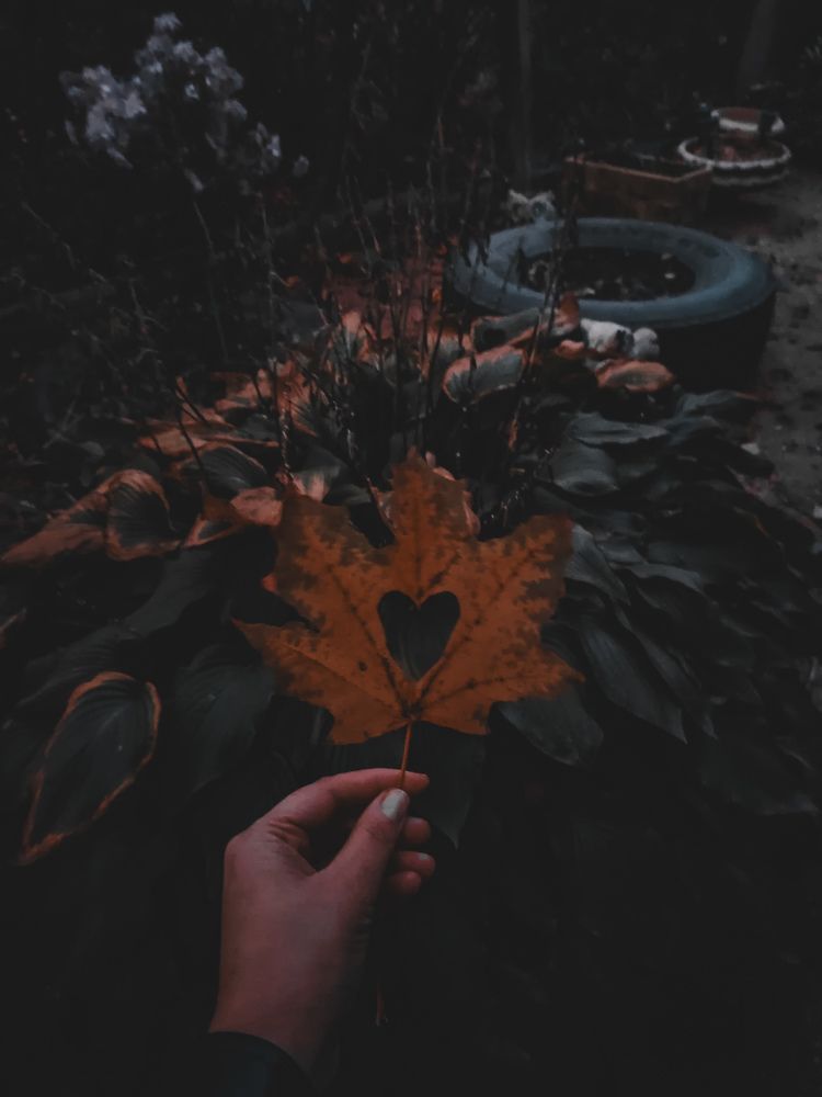 Photograph by Наталья