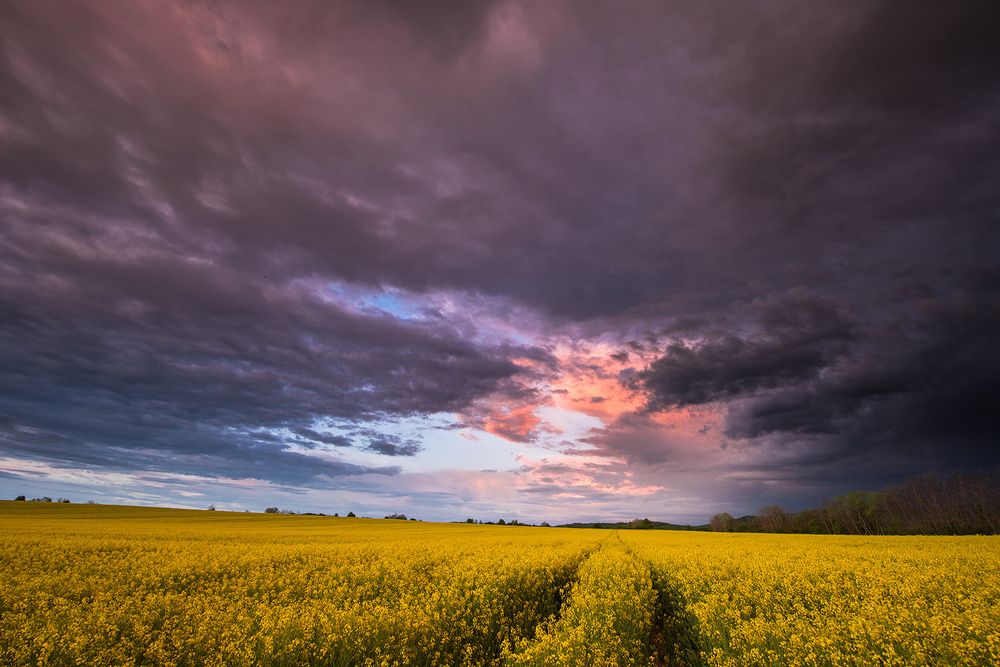 Photograph by Tomislav Safundžić