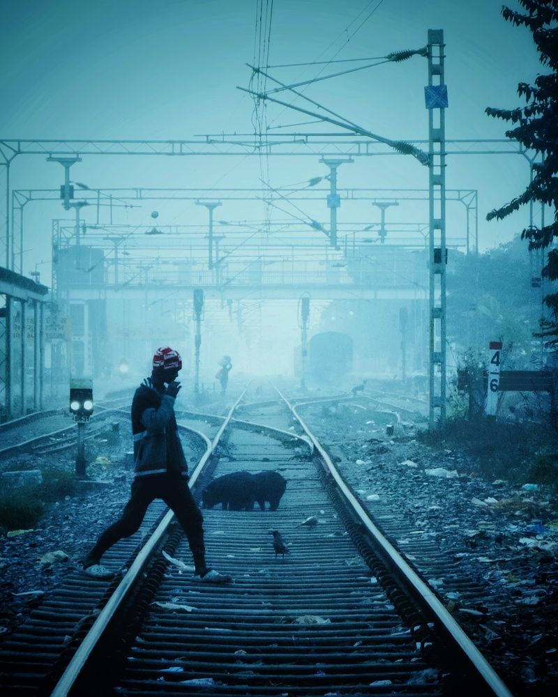 Фотография автора Dipayan Paul