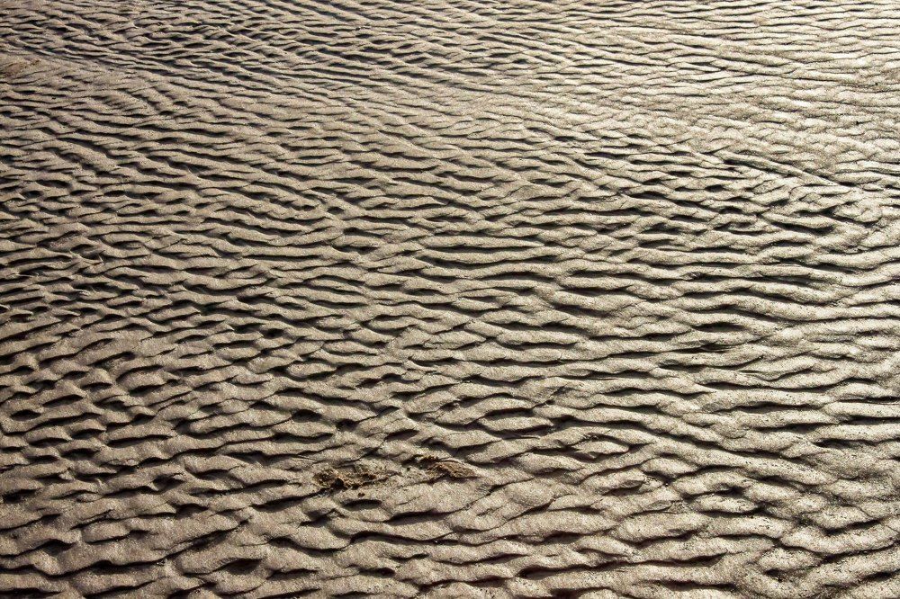 Photograph by Igors Rostikovs