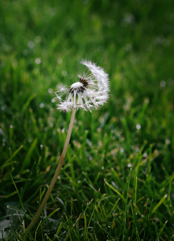 Photograph by Alexander Omelchuk