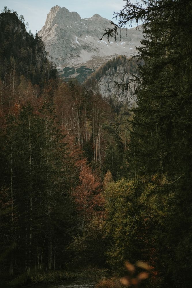 Фотография автора Albina Vaniyants