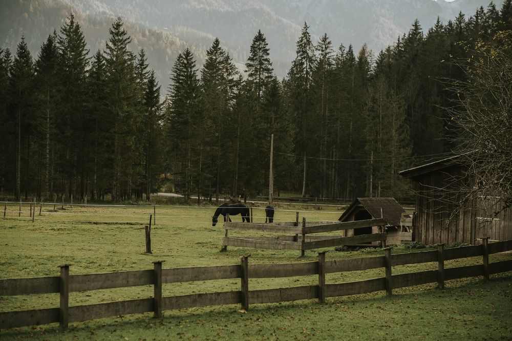 Фотография автора Albina Vaniyants