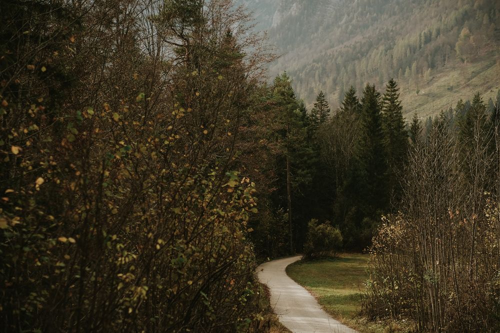 Фотография автора Albina Vaniyants