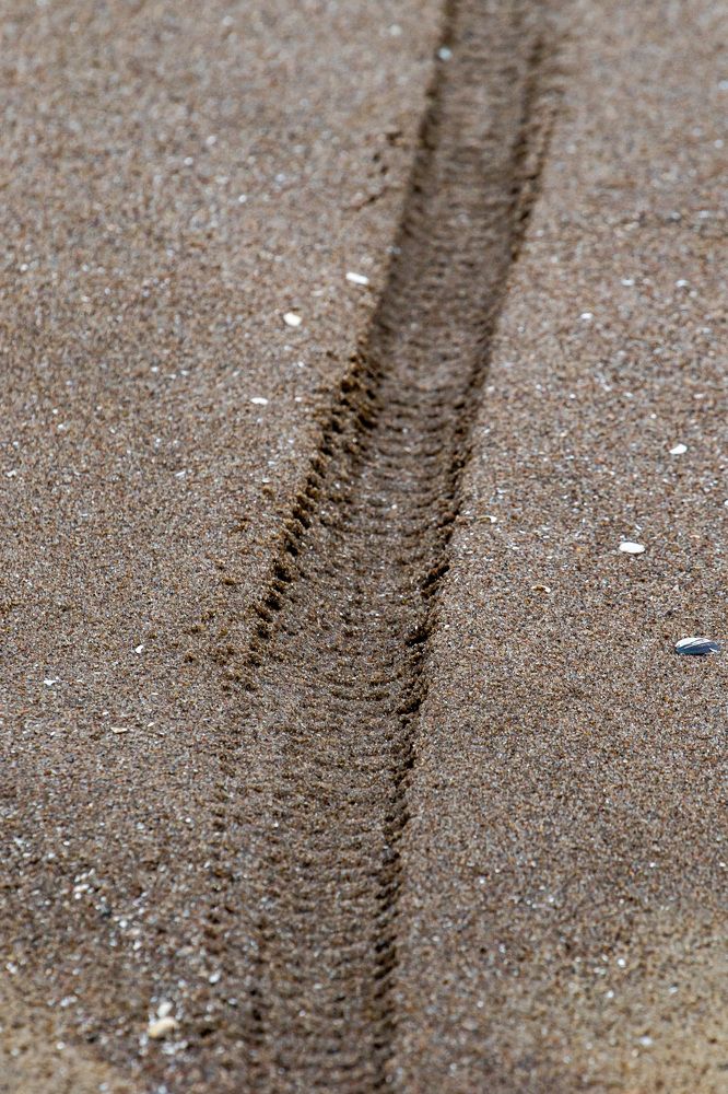 Photograph by Igors Rostikovs