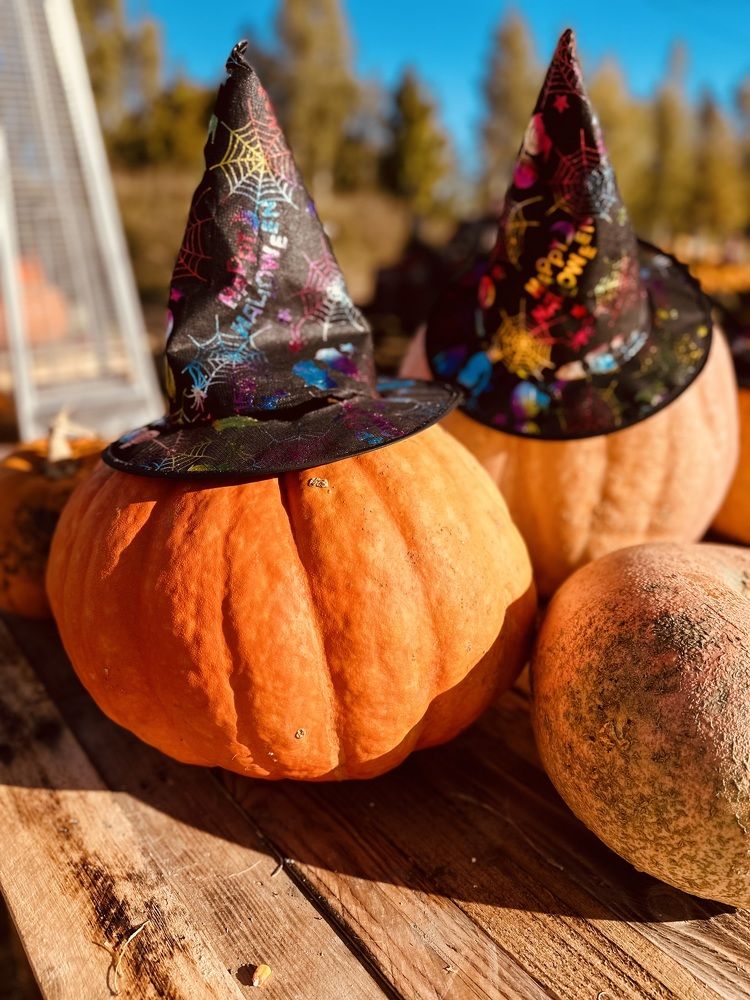 Photograph by Jekaterina Michejeva