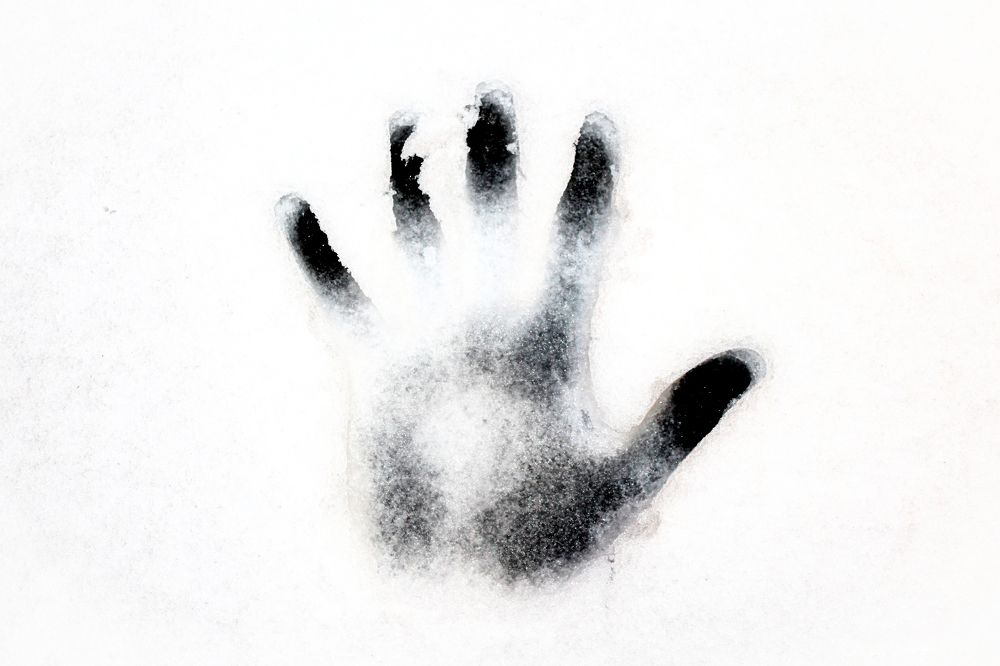 Photograph by Евгения Журавлева