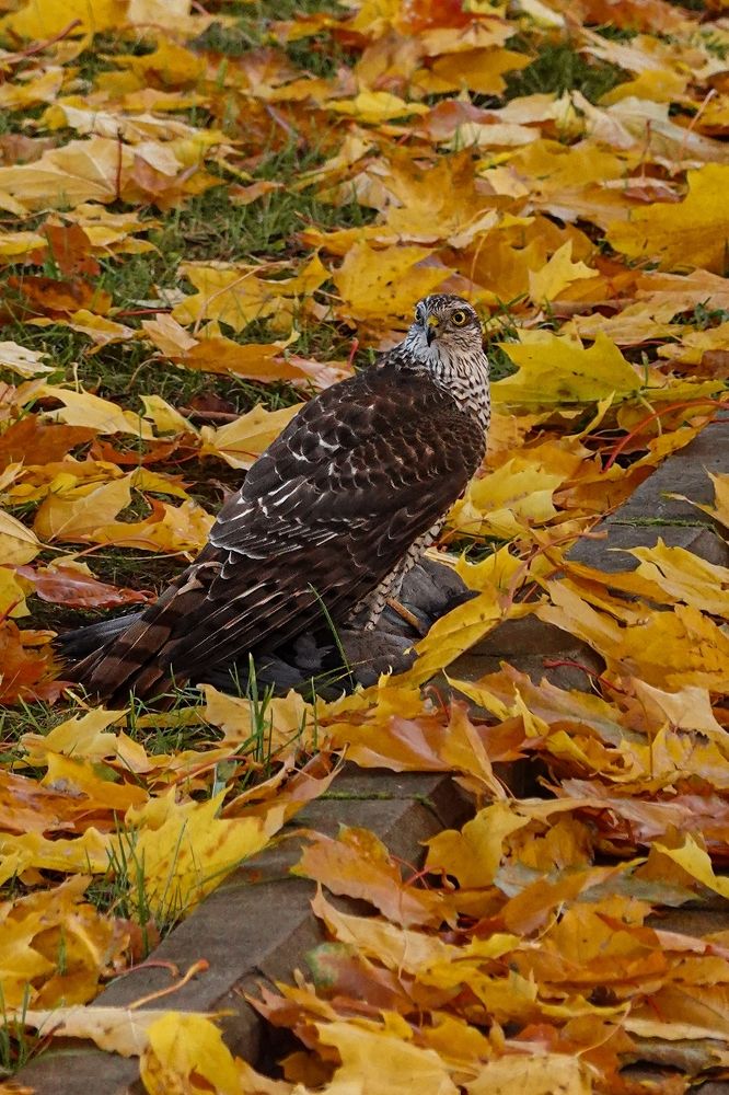 Photograph by Светлана