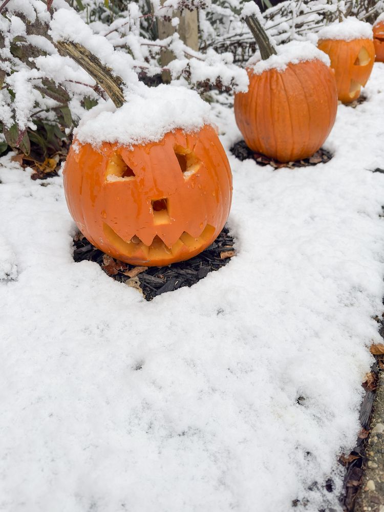 Photograph by JUAN SILVA